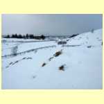 DSCN6112.JPG